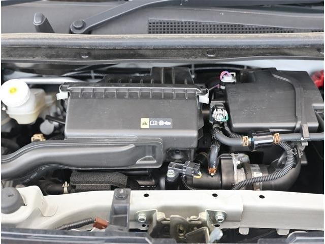 25268609_carP_l_18.jpg