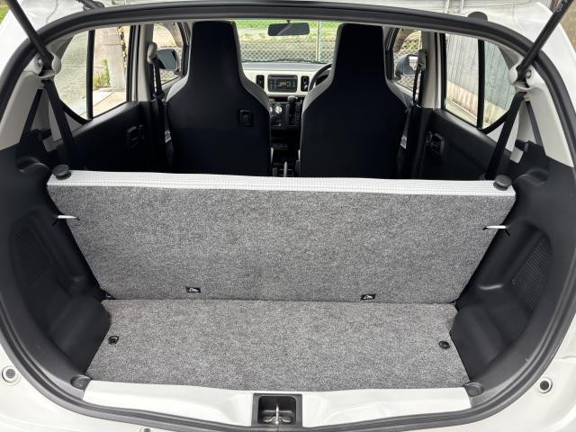 24949960_carP_l_18.jpg