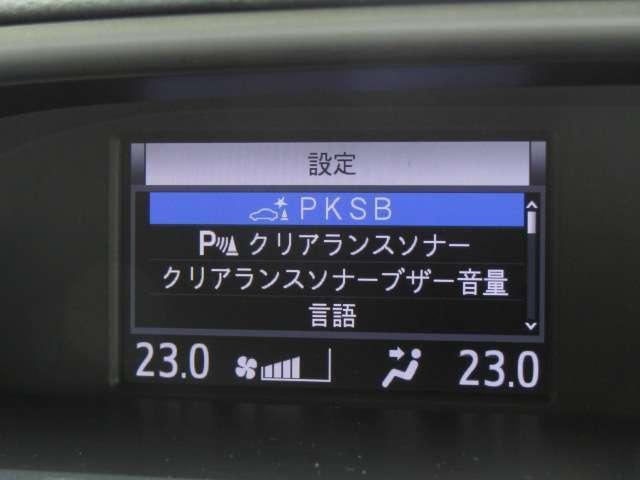 24954453_carP_l_11.jpg