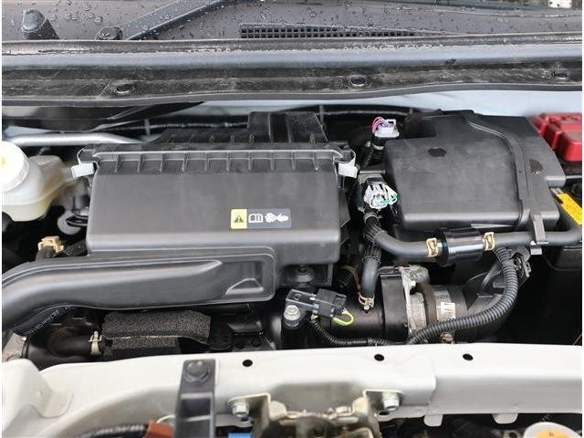 25268610_carP_l_16.jpg
