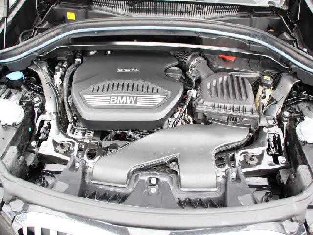 25369124_carP_l_4.jpg