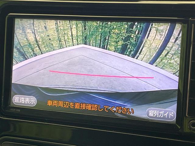 23575487_carP_l_4.jpg
