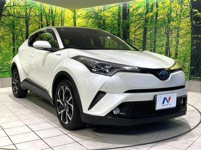 26511772_carP_l_11.jpg