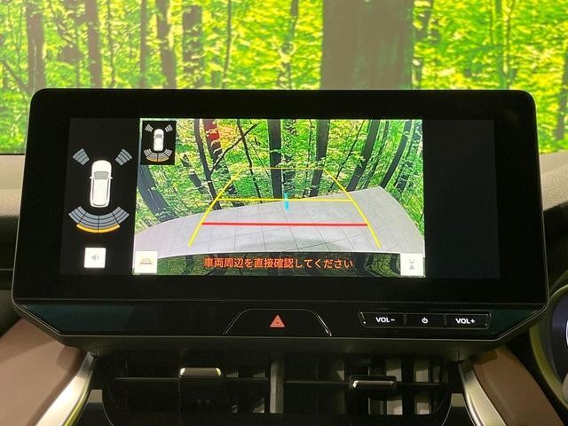 25056329_carP_l_10.jpg