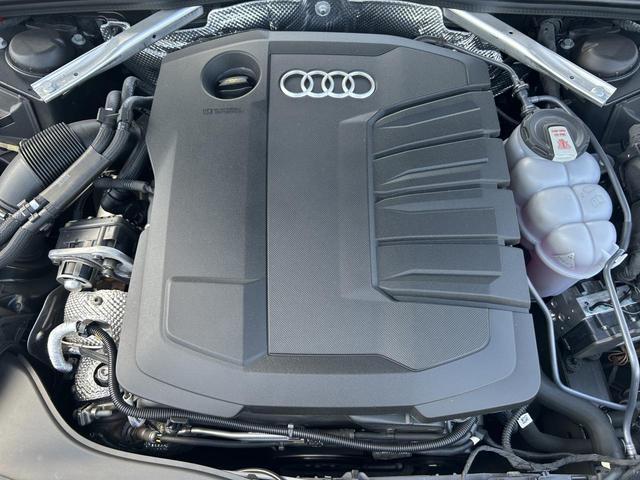 24597482_carP_l_12.jpg