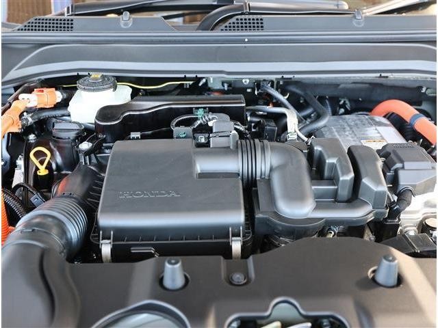 25268617_carP_l_18.jpg