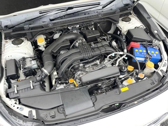 25793002_carP_l_20.jpg