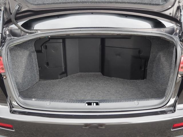 26704034_carP_l_5.jpg