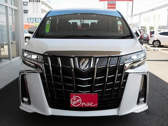 26252349_carP_l_8.jpg