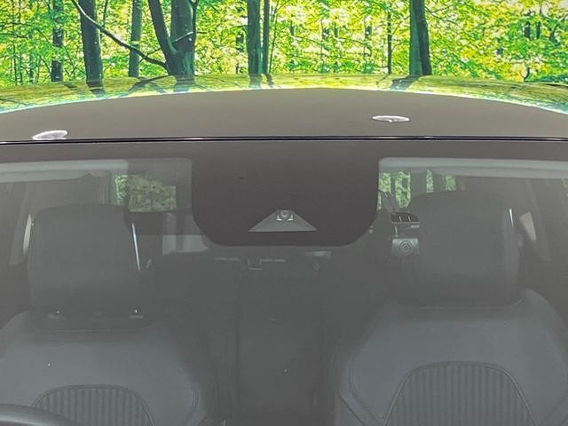 26357362_carP_l_10.jpg