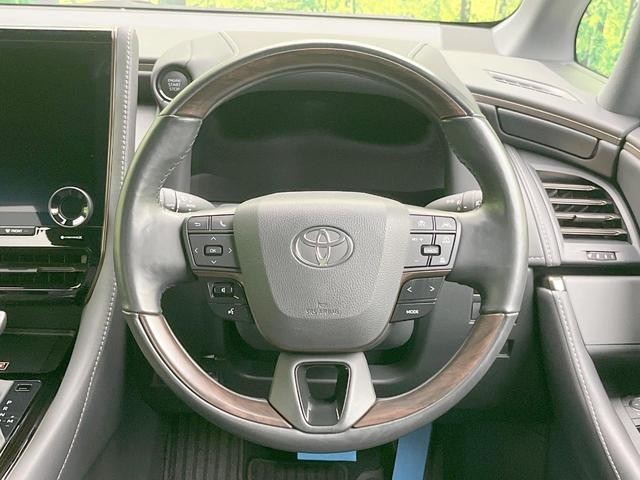 25652851_carP_l_6.jpg