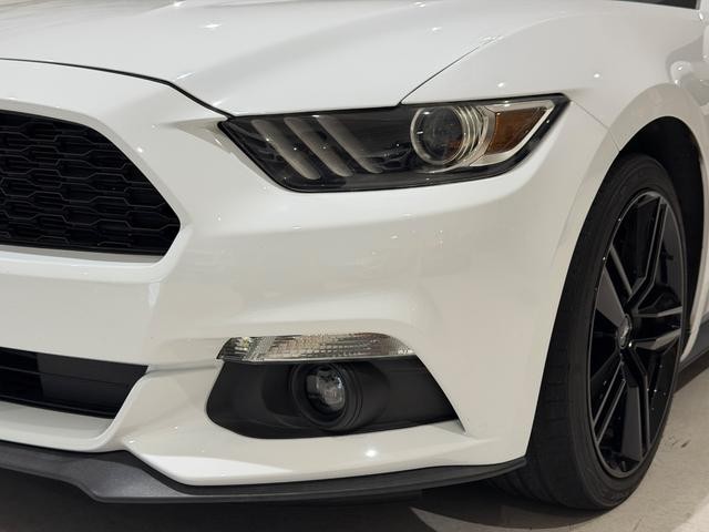 0505075A30260928W00206.jpg