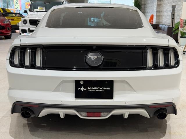 0505075A30260928W00210.jpg