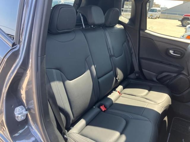 25384892_carP_l_8.jpg
