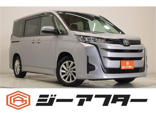 24147708_carP_l_1.jpg
