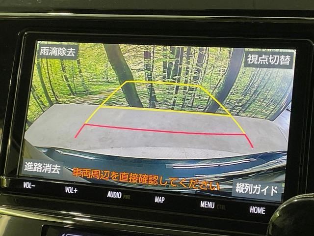 25633092_carP_l_4.jpg