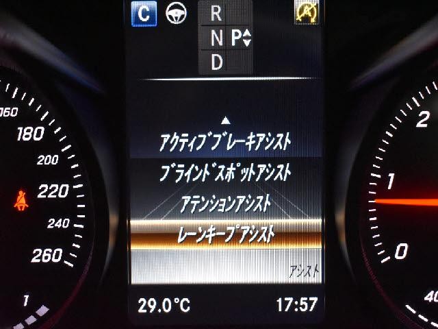 25373896_carP_l_14.jpg