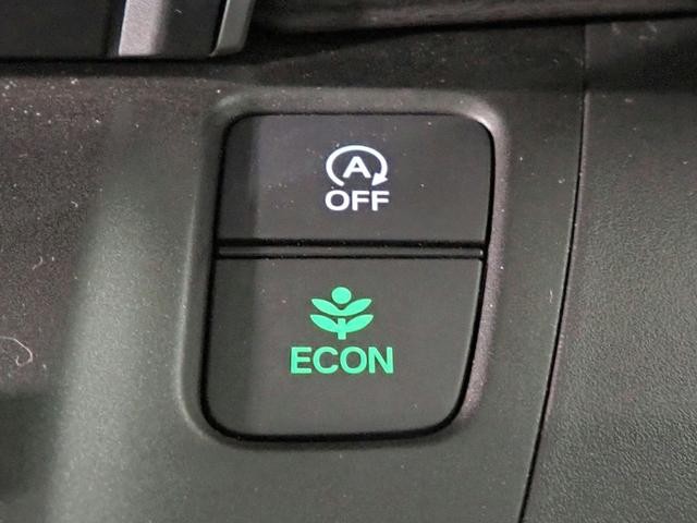 0204644A30261013W00211.jpg