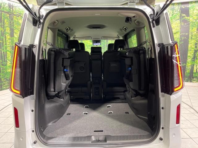 26426621_carP_l_6.jpg