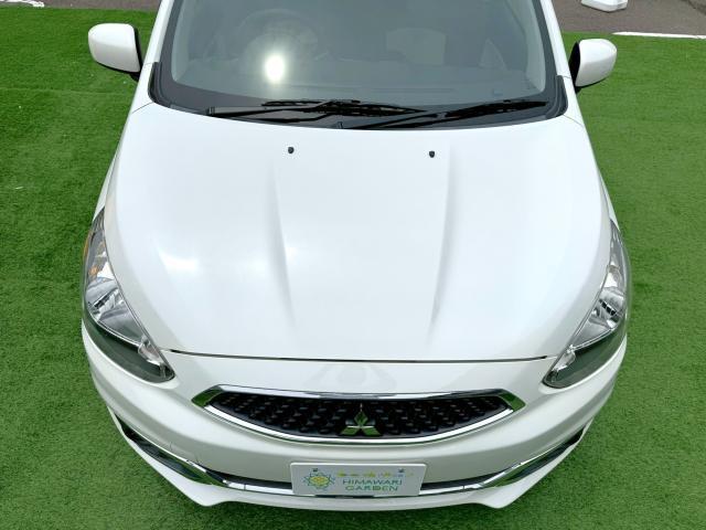 24385652_carP_l_16.jpg