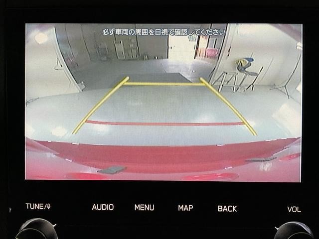 25567928_carP_l_11.jpg