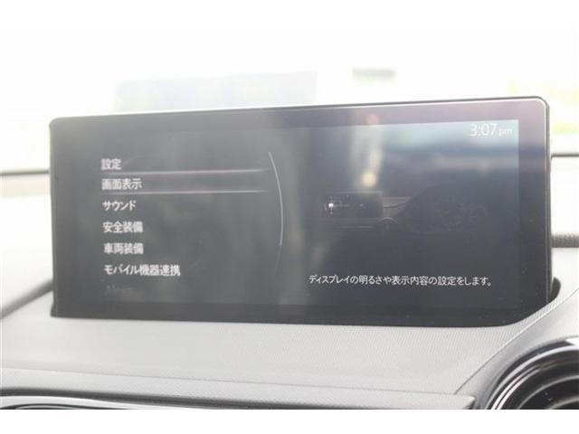26057858_carP_l_4.jpg