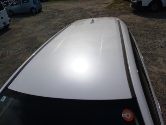 26245544_carP_l_14.jpg