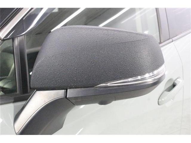25646955_carP_l_12.jpg