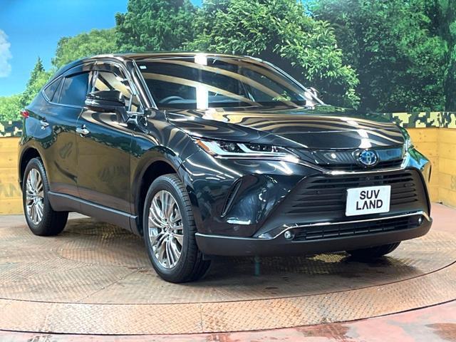 24601911_carP_l_16.jpg