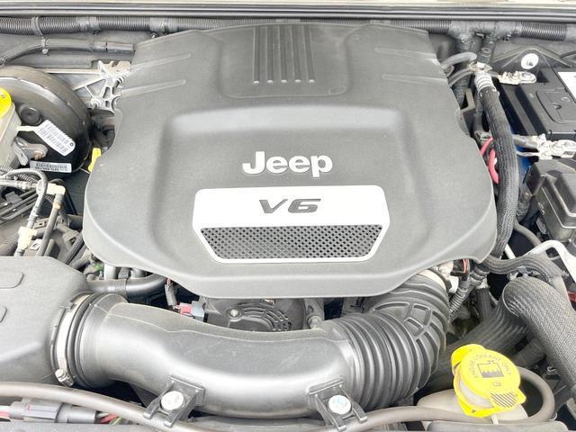 24601923_carP_l_16.jpg