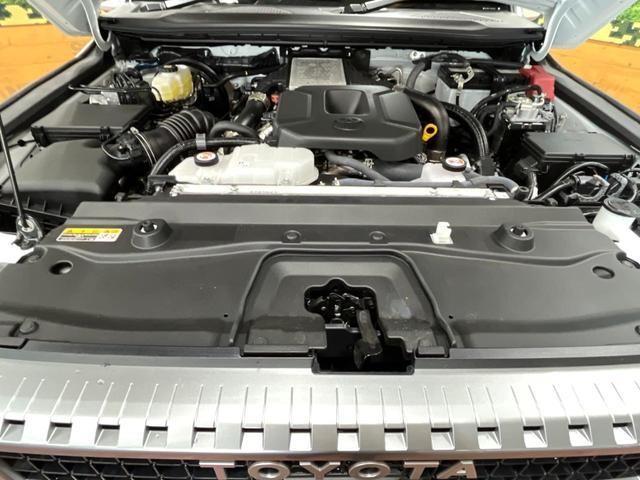 25982661_carP_l_16.jpg