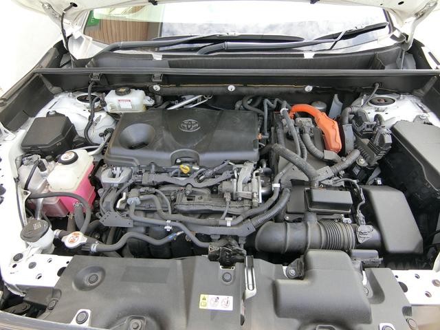 1001682A30260912W00117.jpg