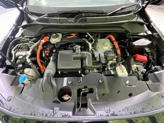 26357520_carP_l_16.jpg