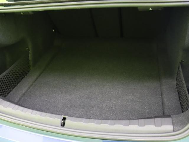 24968502_carP_l_6.jpg