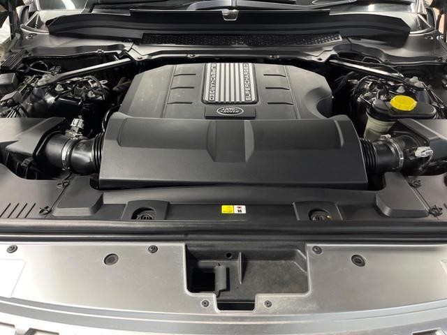 25527056_carP_l_18.jpg