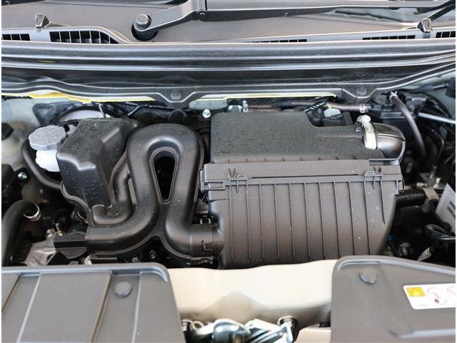 24547184_carP_l_12.jpg