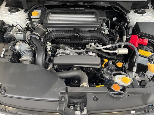 24601937_carP_l_18.jpg