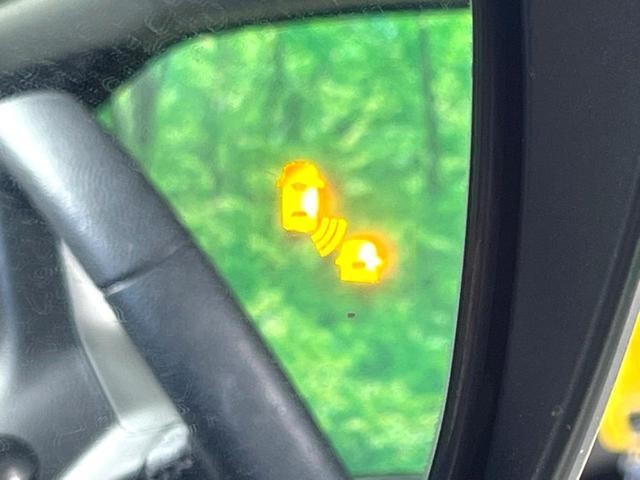 25793125_carP_l_17.jpg