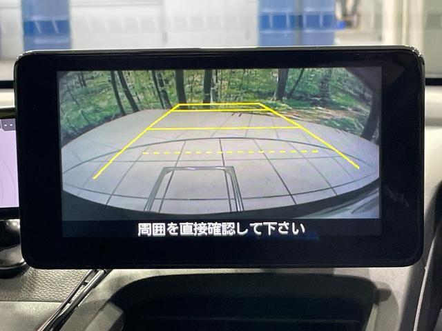 23904756_carP_l_4.jpg