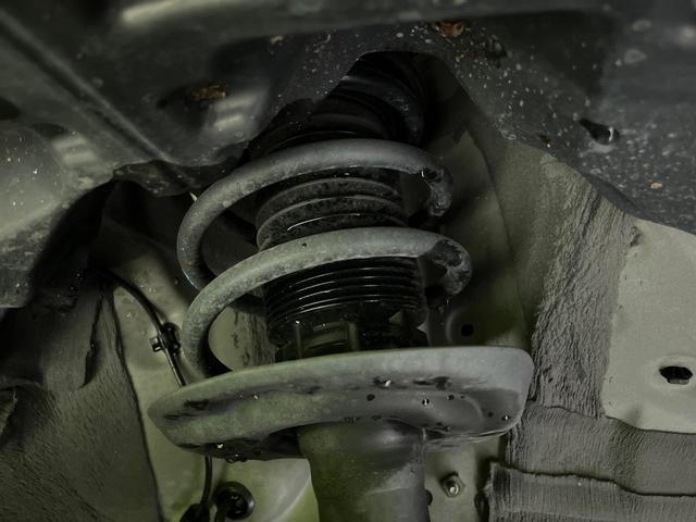 24953118_carP_l_20.jpg