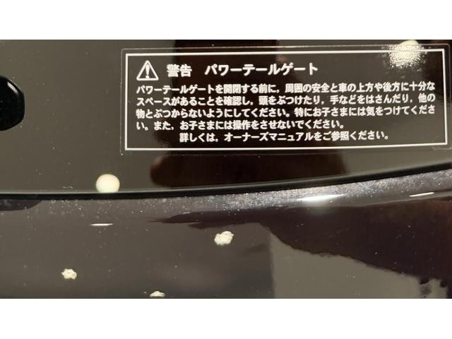 25420228_carP_l_16.jpg