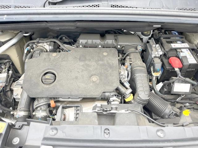 24952860_carP_l_18.jpg