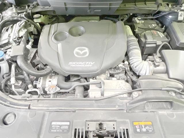 25793176_carP_l_18.jpg