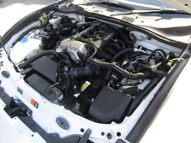 24286388_carP_l_7.jpg