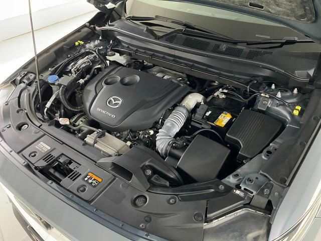 24803345_carP_l_9.jpg