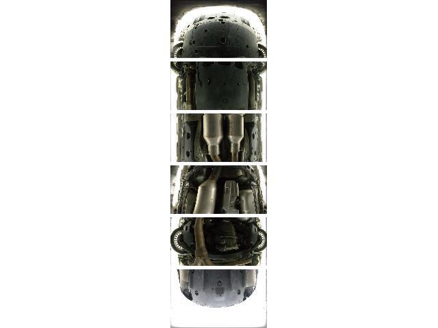 24948541_carP_l_7.jpg