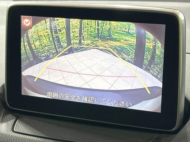 25653257_carP_l_4.jpg