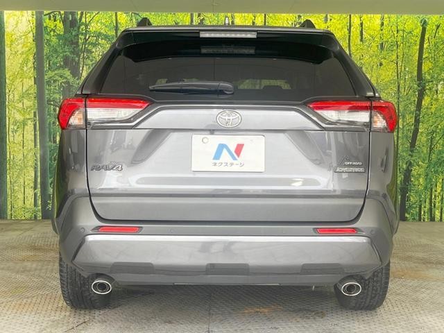 25982773_carP_l_9.jpg