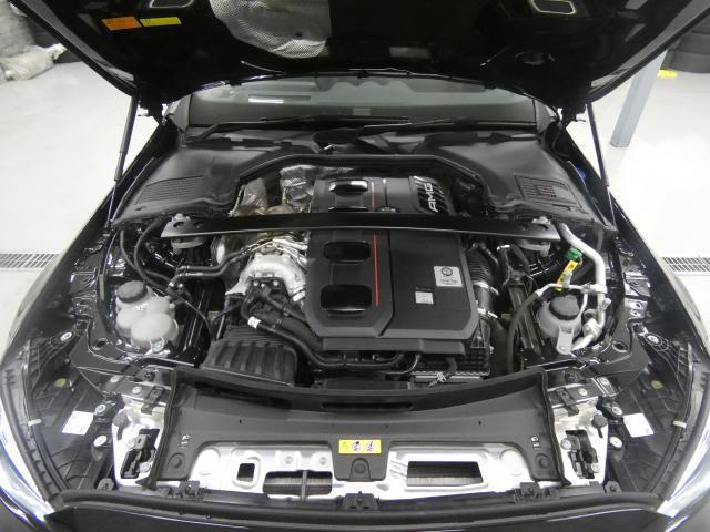 24806644_carP_l_20.jpg