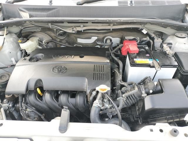25569887_carP_l_17.jpg